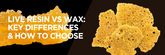Live Resin vs Wax: Key Differences & How to Choose