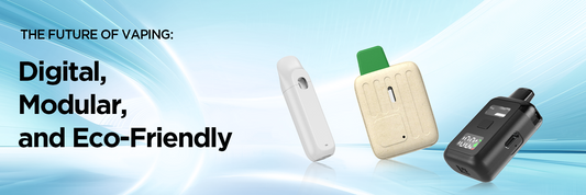 The Future of Vaping: Digital, Modular, and Eco-Friendly