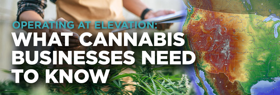 Operating at Elevation: What Cannabis Businesses Need to Know