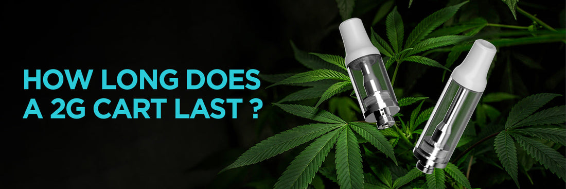 2 mL vape cartridge lifespan showing estimated puff count and usage duration