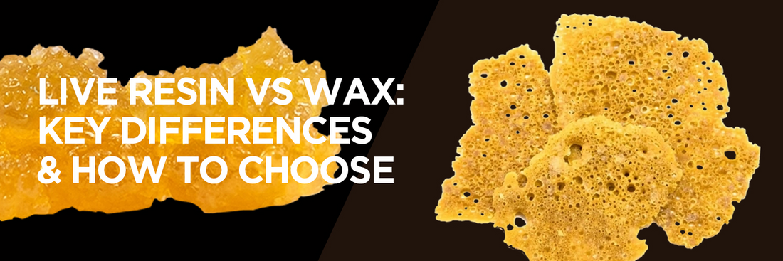 Live Resin vs Wax: Key Differences & How to Choose