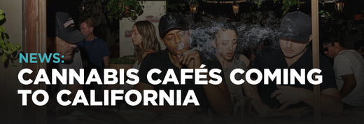 Cannabis Cafés Coming to California