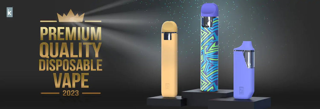 The Best Disposable Vape For 2023: The iKrusher TC Series The Best Disposable Vape For 2023: The iKrusher TC Series